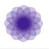曼陀罗漆(Mandala Paint)
