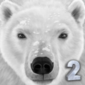 PolarBear2(ģ)