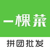 一棵菜