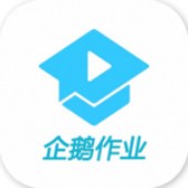 企鹅作业