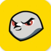 不鸽memo