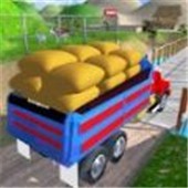 CargoIndianTruck3D