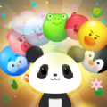 è(Panda Bubble Puzzle!)