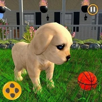 �������С����һ��(Virtual Pet Puppy 3D - Family Ho)