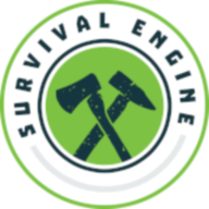 ������ɭ����(Alone in the forest)