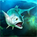 �ᴥ�˶�����(TAP SPORTS Fishing)