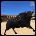 ��Ұ�Ĺ�ţ(Bull Hunting)