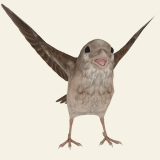 ����С��(Help the Bird)