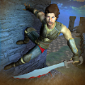 ������������(Prince Assassin of Persia 3D)