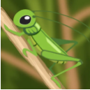 ����ģ����