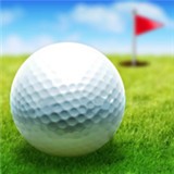 �߶���Ӣ��(Golf Hero - Pixel Golf 3D)