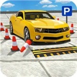 �ƽ���������ս