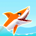 ������(sharkrun)