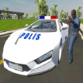 �����ĺ�������(Real Police Car Game)