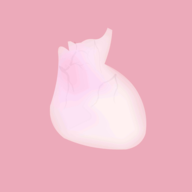 ����ģ����(LIFE)