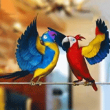 �������ģ������׿��