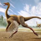 �Ƽ���ģ������Gallimimus Simulator��