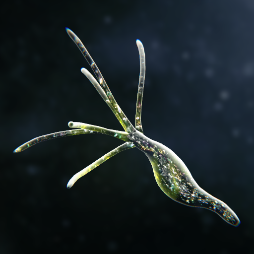 ����ģ����(Spores)�ֻ���