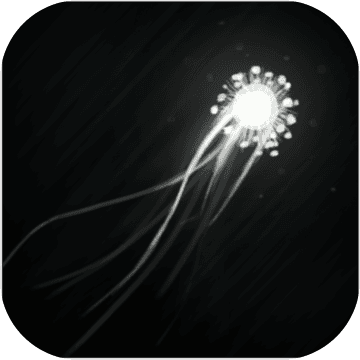 ����֮����Waves Of Life��