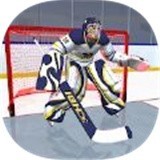 3D(HockeyStars3D)