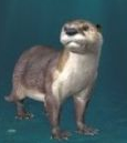 ˮ̡ģ�⾭Ӫ(The Otter)