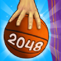 Basket 2048