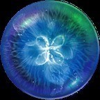 osmos����(Osmos HD)