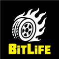 BitLife内置破解版下载-bitlife破解版免内购下载v3.18.10