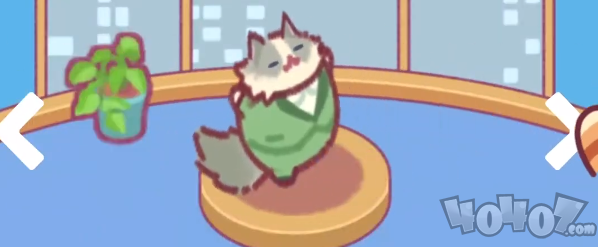 办公室猫咪