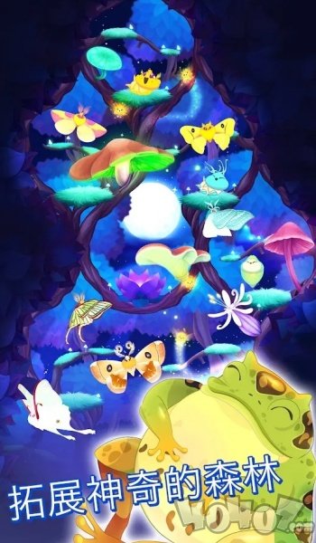 彩翼之星夜