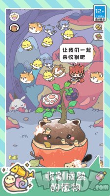 萌猫奇妙世界