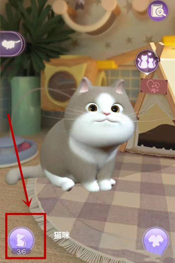时光公主正版