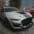 Ұ쳵(Drag Mustang Fast Car)