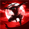 暗影骑士绝命旅途角色解锁版(Shadow Knight)