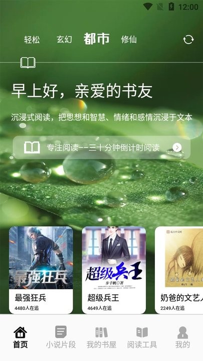 追书大师轻享版新手教程