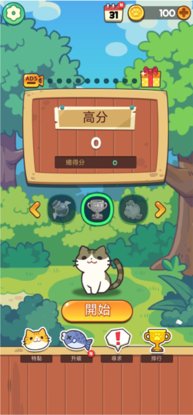 猫与朋友
