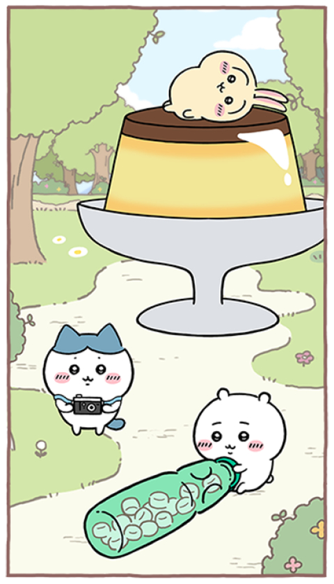 �ڴ���������