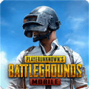 ��������������(PUBG MOBILE)