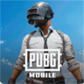 pubg��������(PUBG MOBILE)